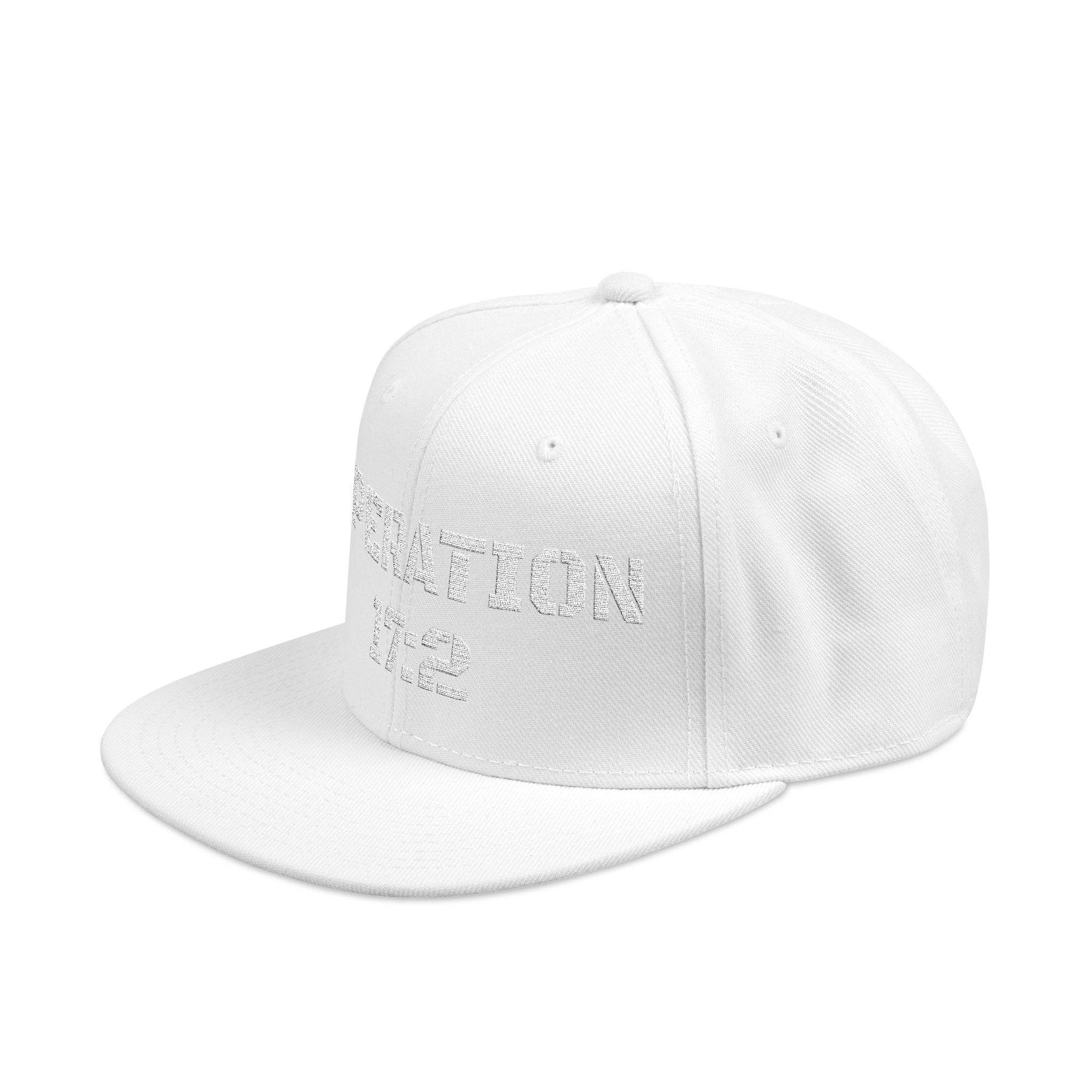 Snapback (Embroidery) - Image 33
