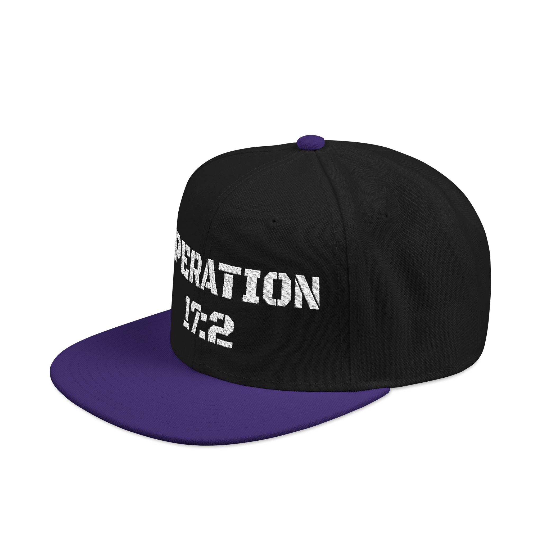 Snapback (Embroidery) - Image 17